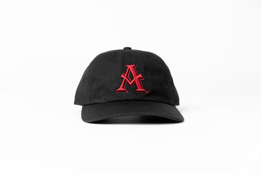 AM Dad Hat